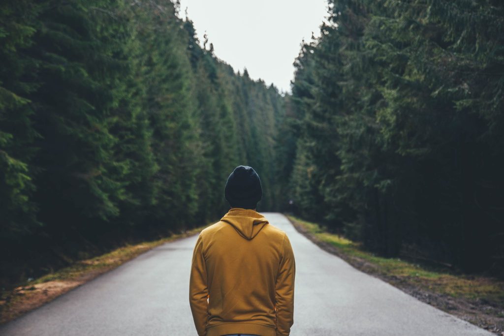 Standing Person Wearing Yellow Jacket on Road Between Pine Tree